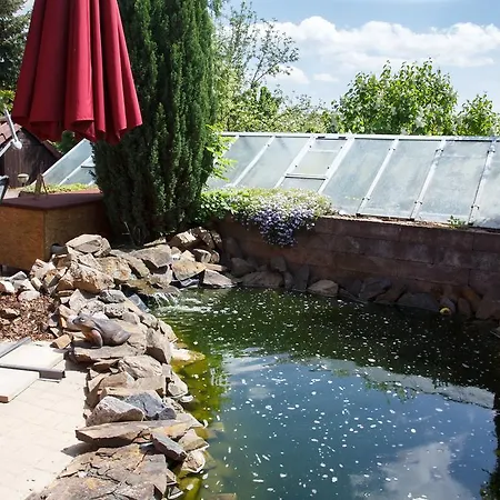 Affittacamere Restaurace-penzion U Pilota 3*